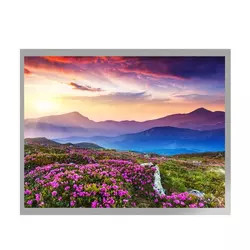 MVA 10.4 นิ้วจอแสดงผล TFT LCD G104X1-L04 โมดูลอินเทอร์เฟซ LVDS TFT LCD