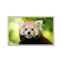 12.1 นิ้ว AUO แผง LCD 800 * 600 G121S1-L02 REV C4 / REV C6 โมดูลจอแสดงผล TFT LCD